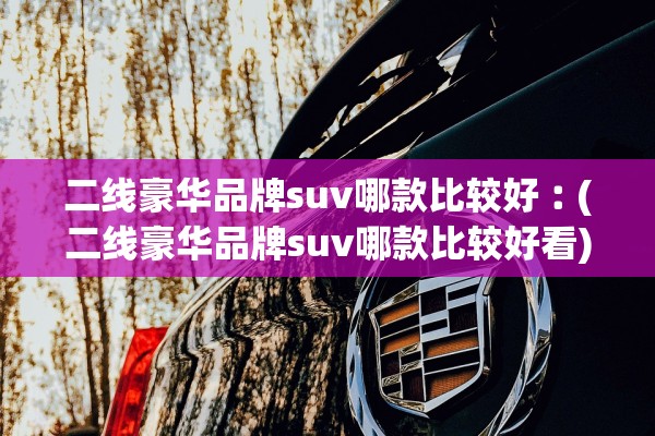 二线豪华品牌suv哪款比较好︰(二线豪华品牌suv哪款比较好看) 二线豪华品牌suv哪款比较好︰(二线豪华品牌suv哪款比较好看)