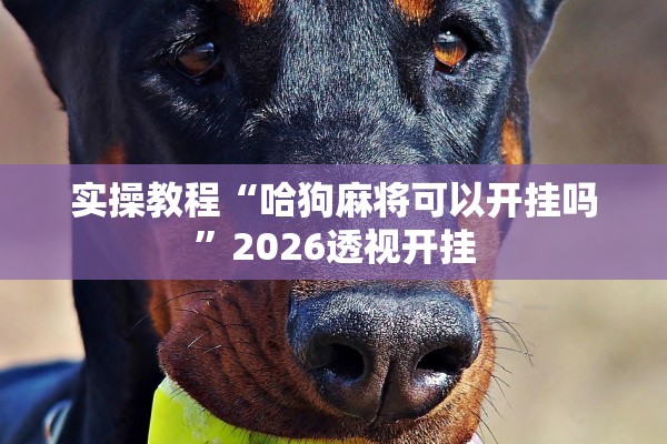 实操教程“哈狗麻将可以开挂吗”2026透视开挂