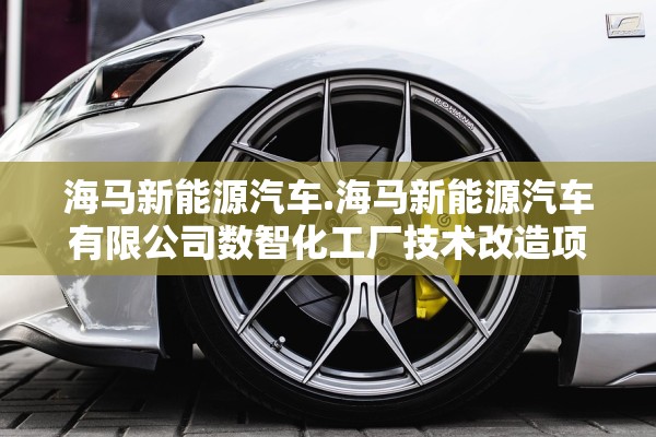 海马新能源汽车.海马新能源汽车有限公司数智化工厂技术改造项目