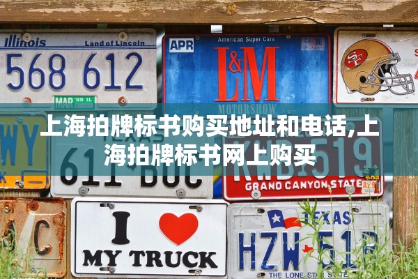 上海拍牌标书购买地址和电话,上海拍牌标书网上购买