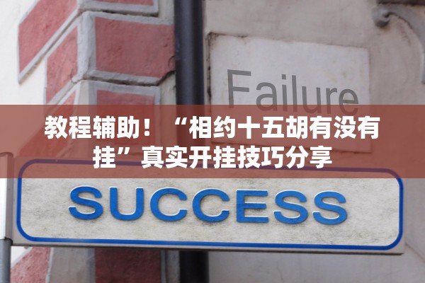 教程辅助！“相约十五胡有没有挂”真实开挂技巧分享