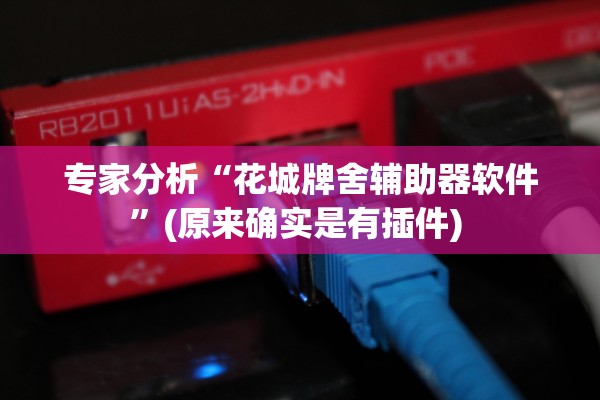 专家分析“花城牌舍辅助器软件”(原来确实是有插件) 