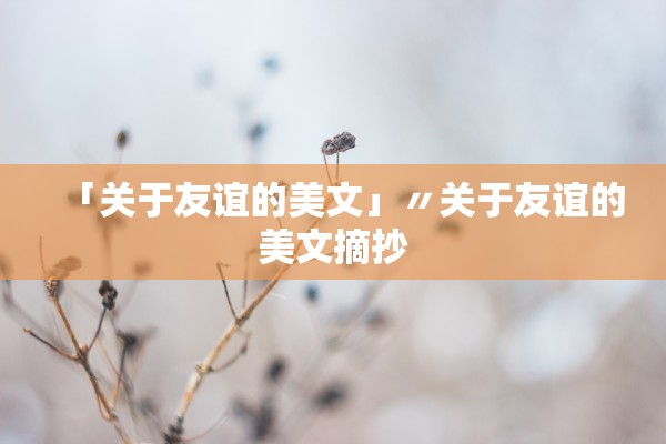 「关于友谊的美文」〃关于友谊的美文摘抄 「关于友谊的美文」〃关于友谊的美文摘抄