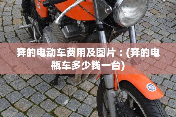 奔的电动车费用及图片︰(奔的电瓶车多少钱一台)