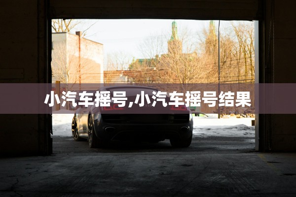 小汽车摇号,小汽车摇号结果