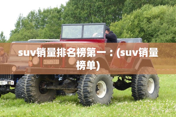 suv销量排名榜第一︰(suv销量榜单)