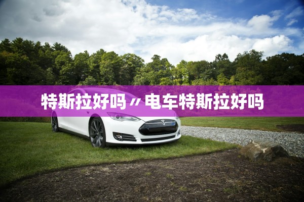 特斯拉好吗〃电车特斯拉好吗