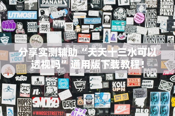 分享实测辅助“天天十三水可以透视吗”通用版下载教程！