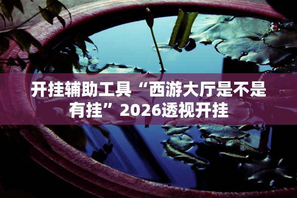开挂辅助工具“西游大厅是不是有挂”2026透视开挂
