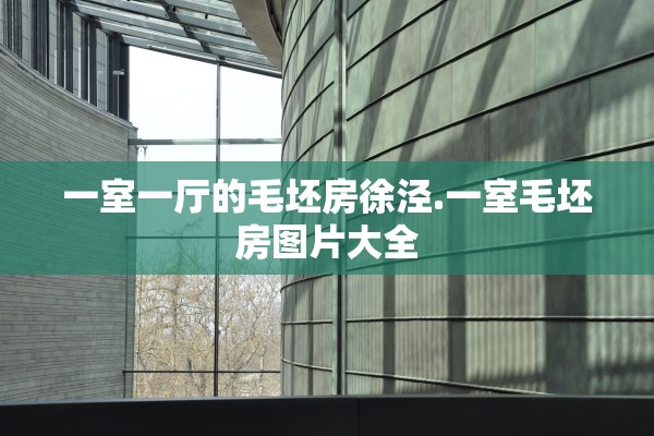 一室一厅的毛坯房徐泾.一室毛坯房图片大全