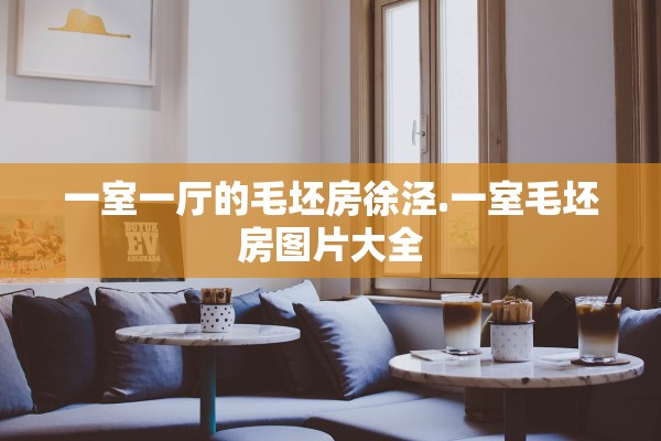 一室一厅的毛坯房徐泾.一室毛坯房图片大全