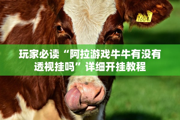 玩家必读“阿拉游戏牛牛有没有透视挂吗”详细开挂教程