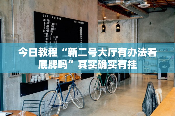 今日教程“新二号大厅有办法看底牌吗”其实确实有挂