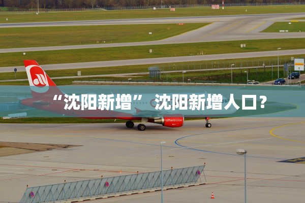 “沈阳新增” 沈阳新增人口？