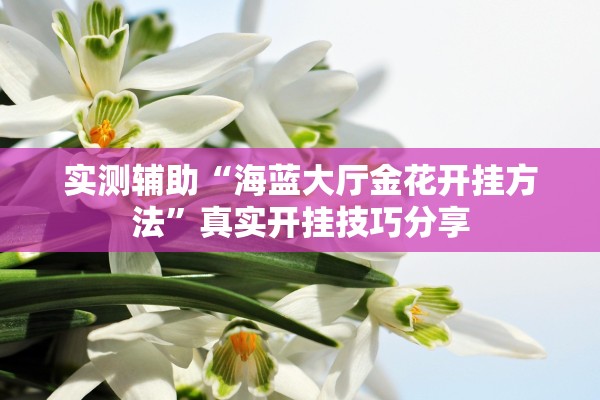 实测辅助“海蓝大厅金花开挂方法”真实开挂技巧分享