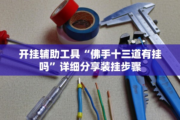开挂辅助工具“佛手十三道有挂吗”详细分享装挂步骤