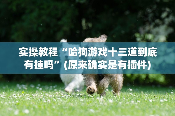 实操教程“哈狗游戏十三道到底有挂吗	”(原来确实是有插件)