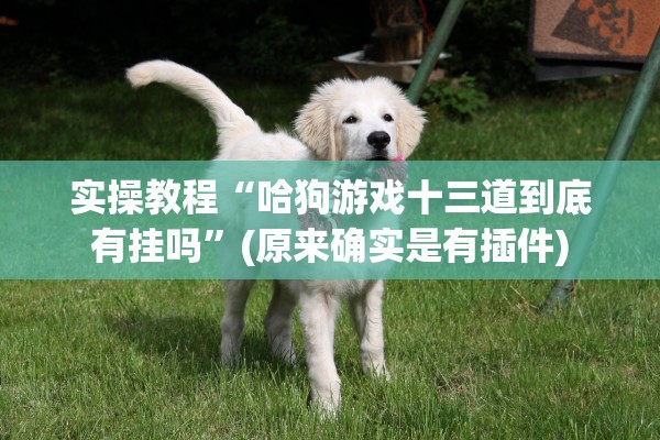 实操教程“哈狗游戏十三道到底有挂吗”(原来确实是有插件)