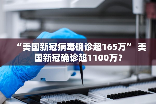 “美国新冠病毒确诊超165万	” 美国新冠确诊超1100万？