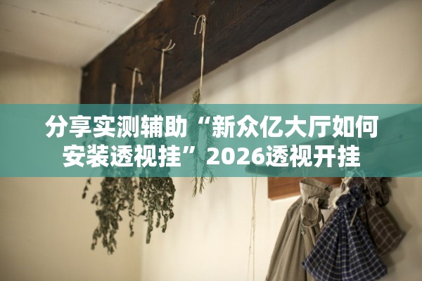 分享实测辅助“新众亿大厅如何安装透视挂”2026透视开挂