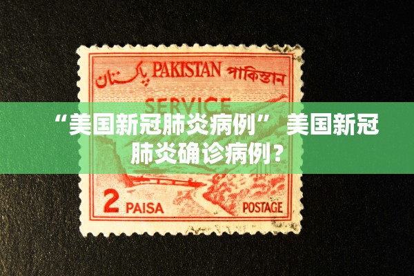“美国新冠肺炎病例” 美国新冠肺炎确诊病例？