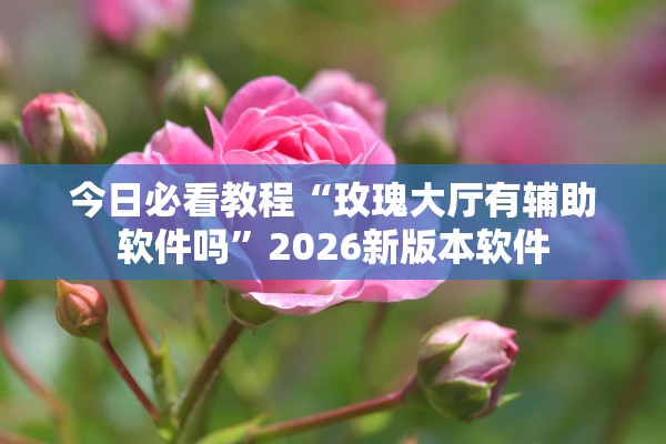 今日必看教程“玫瑰大厅有辅助软件吗”2026新版本软件