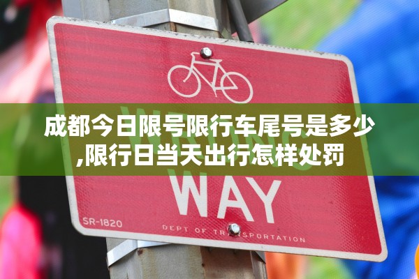 成都今日限号限行车尾号是多少,限行日当天出行怎样处罚 成都今日限号限行车尾号是多少,限行日当天出行怎样处罚