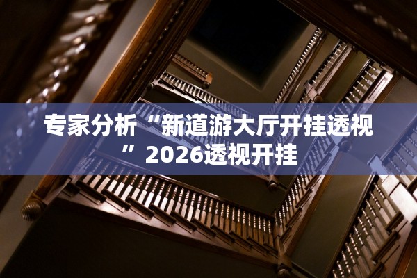 专家分析“新道游大厅开挂透视”2026透视开挂
