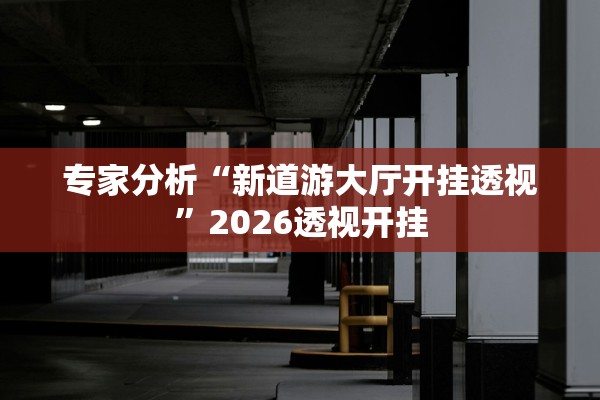 专家分析“新道游大厅开挂透视”2026透视开挂