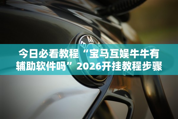 今日必看教程“宝马互娱牛牛有辅助软件吗”2026开挂教程步骤