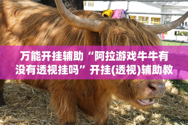 万能开挂辅助“阿拉游戏牛牛有没有透视挂吗”开挂(透视)辅助教程