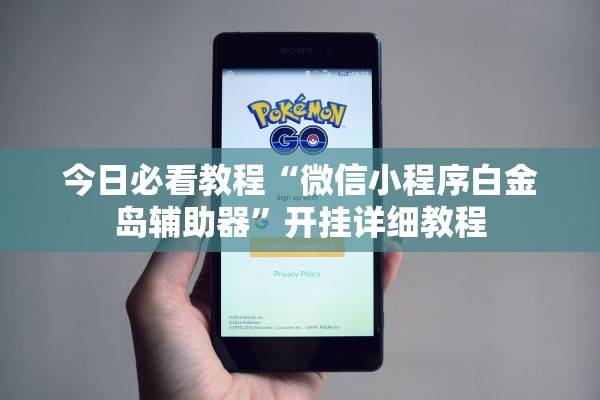 今日必看教程“微信小程序白金岛辅助器”开挂详细教程
