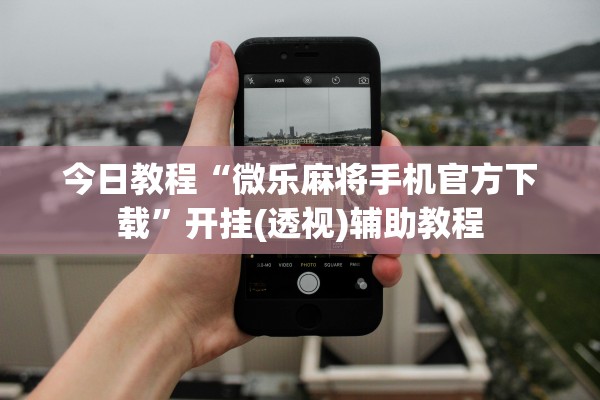 今日教程“微乐麻将手机官方下载”开挂(透视)辅助教程