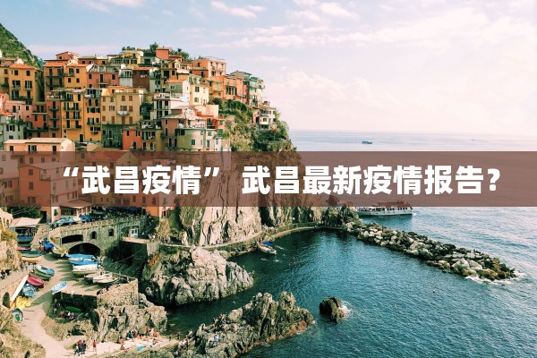 “武昌疫情	” 武昌最新疫情报告？