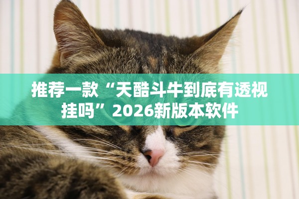 推荐一款“天酷斗牛到底有透视挂吗”2026新版本软件