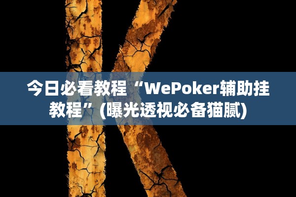 今日必看教程“WePoker辅助挂教程	”(曝光透视必备猫腻)