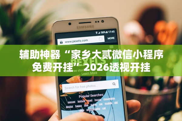 辅助神器“家乡大贰微信小程序免费开挂”2026透视开挂