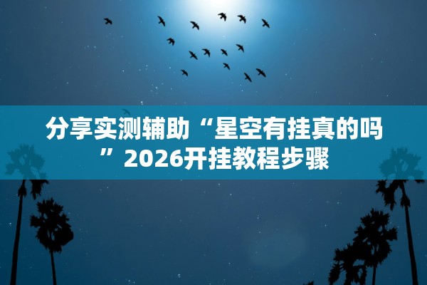 分享实测辅助“星空有挂真的吗”2026开挂教程步骤