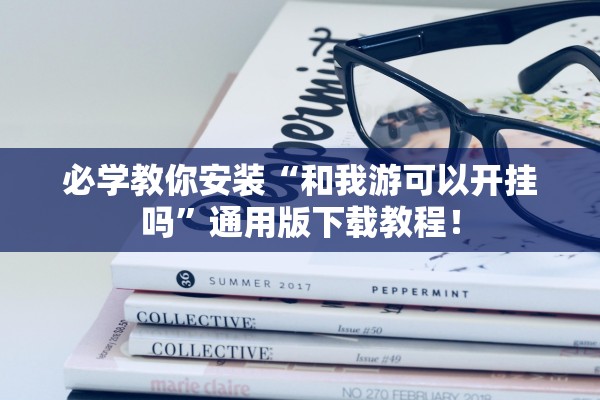 辅助神器“麦穗推筒子怎么装挂”(原来确实是有插件)