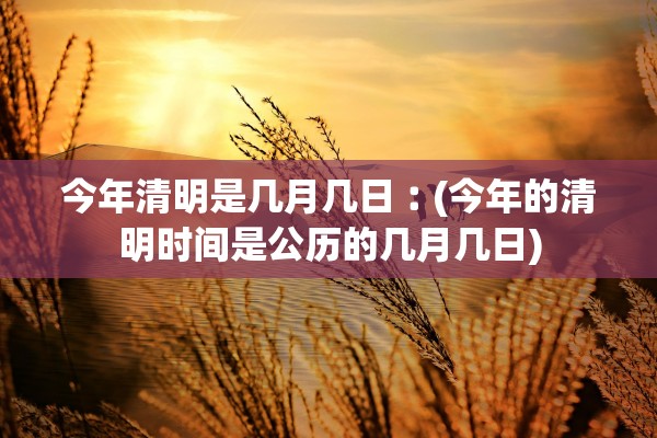 安装程序教程“山西大唐麻将有什么规律吗”辅助器 – 实时智能回复