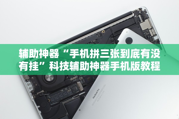 实测辅助“海蓝大厅金花一直输的原因”开挂辅助详细步骤