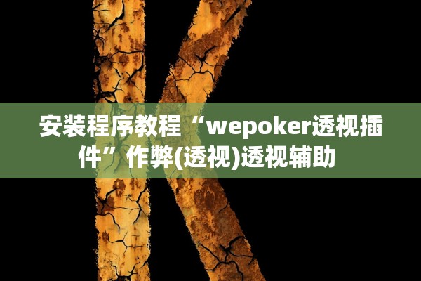 安装程序教程“wepoker透视插件”作弊(透视)透视辅助 