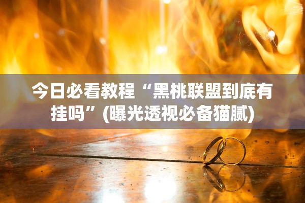 今日必看教程“黑桃联盟到底有挂吗”(曝光透视必备猫腻)