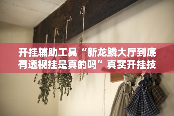 开挂辅助工具“新龙鳞大厅到底有透视挂是真的吗”真实开挂技巧分享