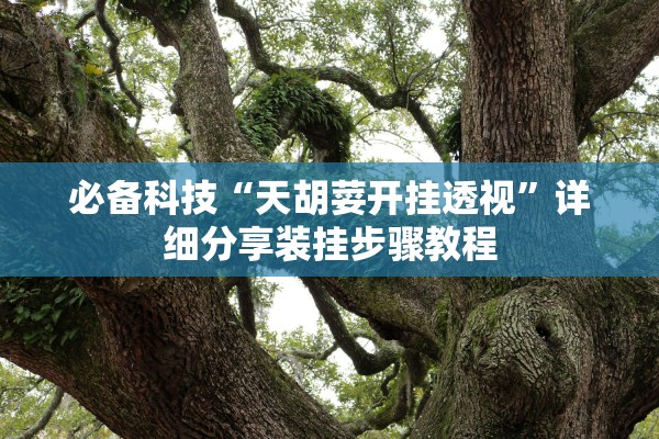 必备科技“天胡荽开挂透视”详细分享装挂步骤教程