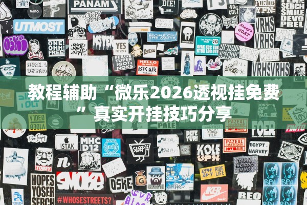 教程辅助“微乐2026透视挂免费”真实开挂技巧分享