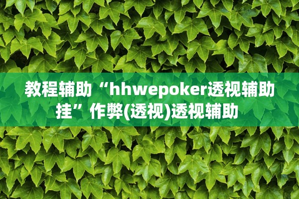 教程辅助“hhwepoker透视辅助挂”作弊(透视)透视辅助 