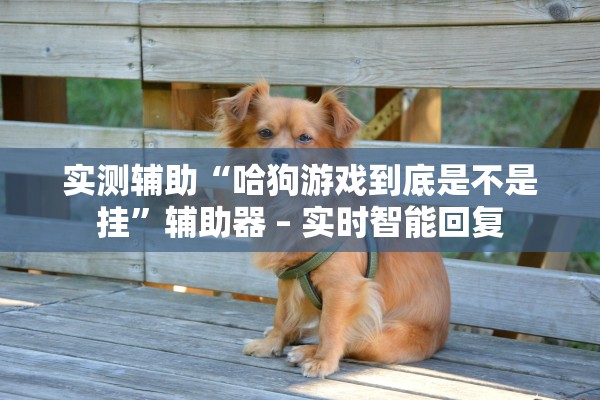 实测辅助“哈狗游戏到底是不是挂”辅助器 – 实时智能回复