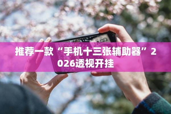 推荐一款“手机十三张辅助器	”2026透视开挂