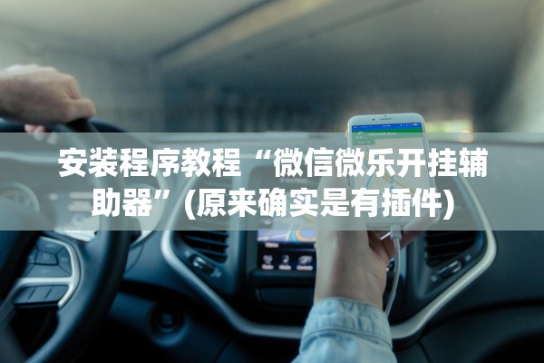 安装程序教程“微信微乐开挂辅助器	”(原来确实是有插件)